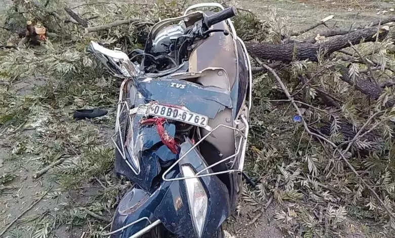 स्कूटी सवार दो बहनों पर गिरा पेड़, एक की मौत