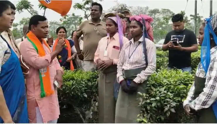 भाजपा प्रत्याशी ने&nbsp;चाय बागानों में&nbsp;श्रमिकों&nbsp;से&nbsp;सादरी भाषा&nbsp;में मांगे वोट