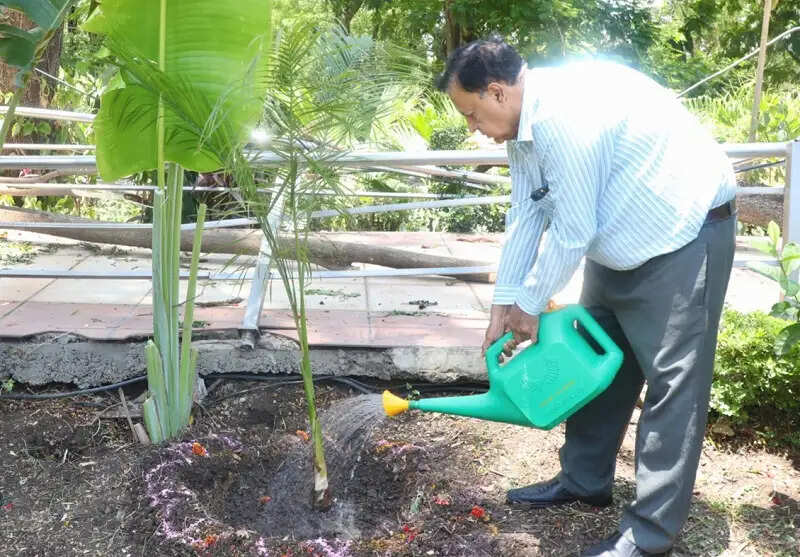 मप्रः लोक भवन में मनाया गया विश्व पर्यावरण दिवस, राज्यपाल के उप सचिव सहित अधिकारियों ने किया पौधरोपण