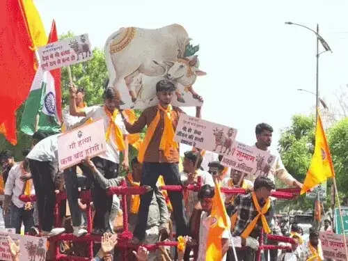 राजस्थान में ‘गाे सम्मान आह्वान’ महारैलियां, हजारों लोगों ने गोमाता को राष्ट्रमाता का दर्जा देने की उठाई मांग