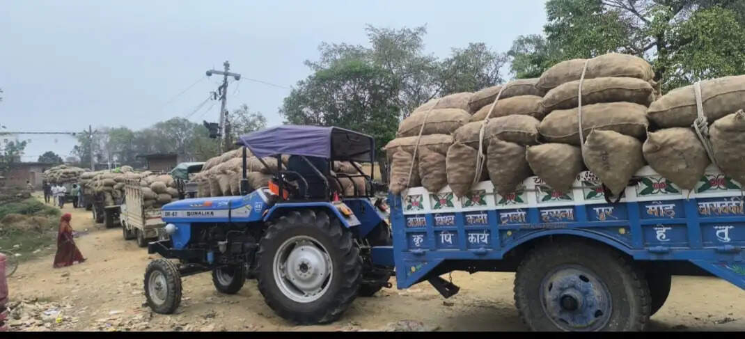 कोल्ड स्टोरेज पर आलू रखने के लिए लगी लंबी लाइनें, प्रबंधन की सुस्ती से किसान परेशान