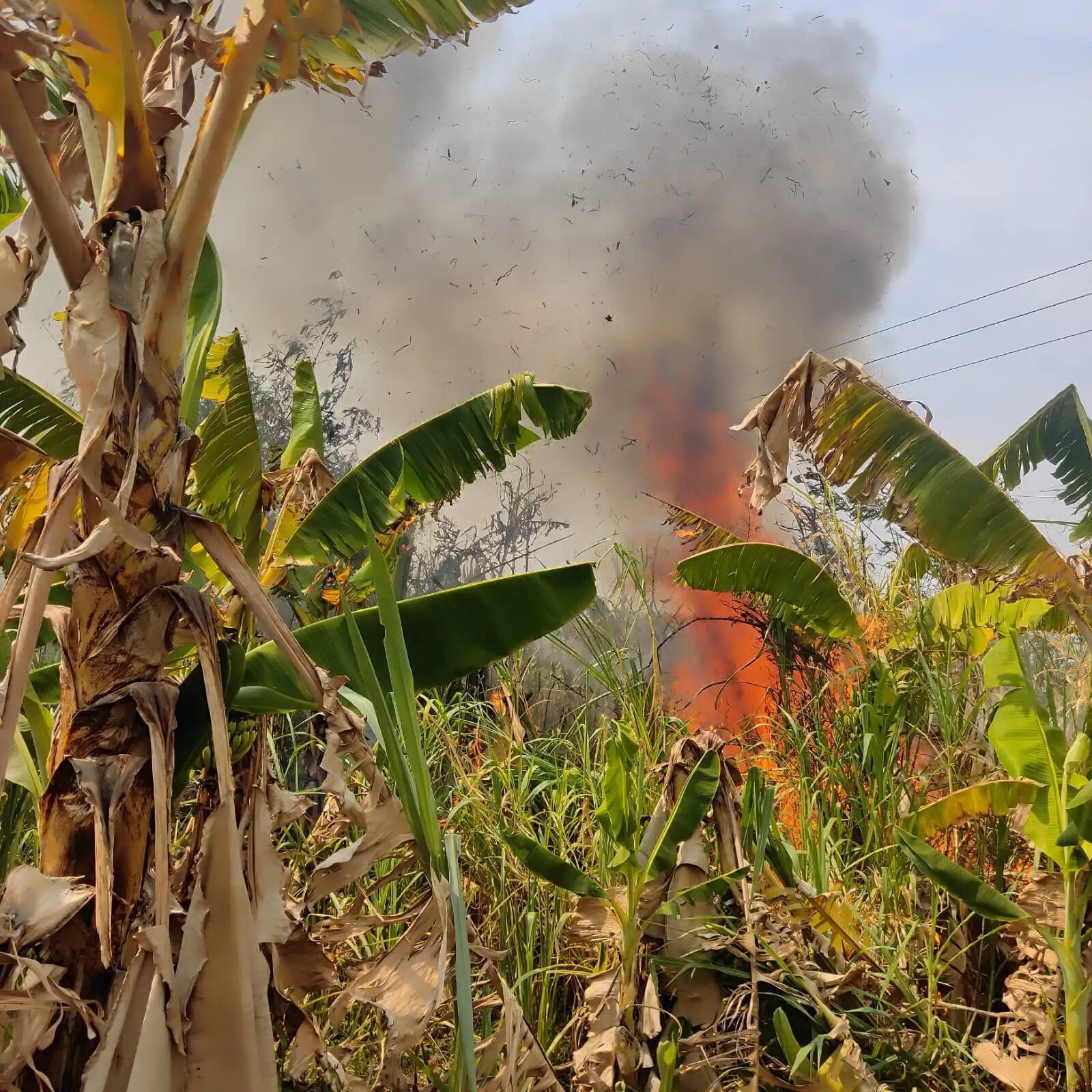 छाती के खेत व बाड़ियों में लगी आग, किसानों को भारी नुकसान