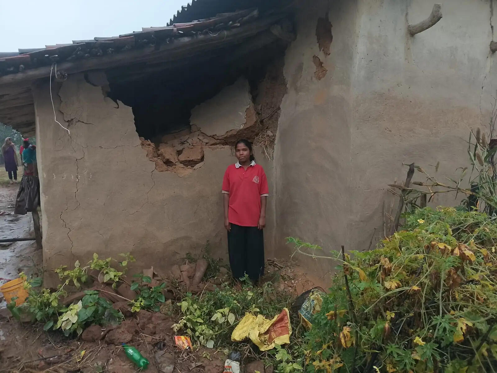 हाथियों ने घर तोड़े, धान की फसल रौंदी