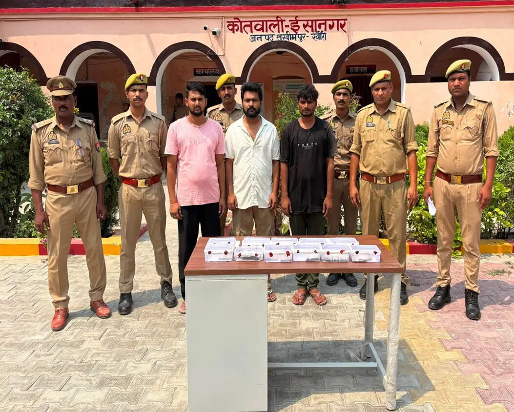 चोरी की 9 वारदातों में वांछित शातिर बदमाश समेत 3 गिरफ्तार
