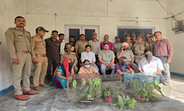 मालसी रेंज में अवैध वन्यजीव व्यापार में चार गिरफ्तार