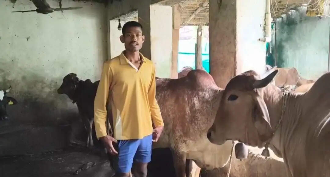 कोरबा में राज्य डेयरी उद्यमिता योजना से बदली मिनेश राठिया की जिंदगी, दो गायों से शुरू कारोबार अब पांच तक पहुंचा