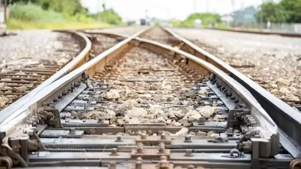 रेलवे क्रासिंग पर तीन साल की बेटी को लेकर ट्रेन के आगे कूदी महिला, दोनों की मौत