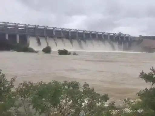 शहडोल: बाणसागर बांध 100 प्रतिशत भरा, 12 गेट खोले गए,7525 क्यूमेक्स पानी छोड़ा