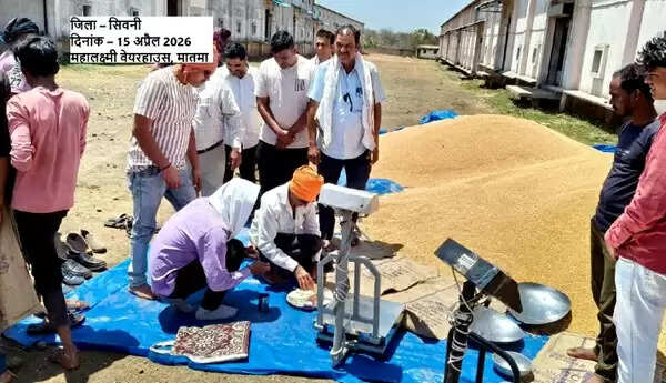 मप्र के सभी संभागों में गेहूँ का उपार्जन शुरू, अब तक 42 हजार 689 किसानों से हुई 18 लाख से अधिक की खरीदी