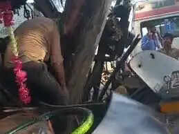 भोपाल-इंदौर हाईवे पर हादसा, पेड़ से टकराई यात्री बस, हेल्पर की मौत