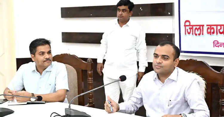 मतदाता सूची पुनरीक्षण में एईआरओ पूरी जिम्मेदारी से करें कार्य : डीएम