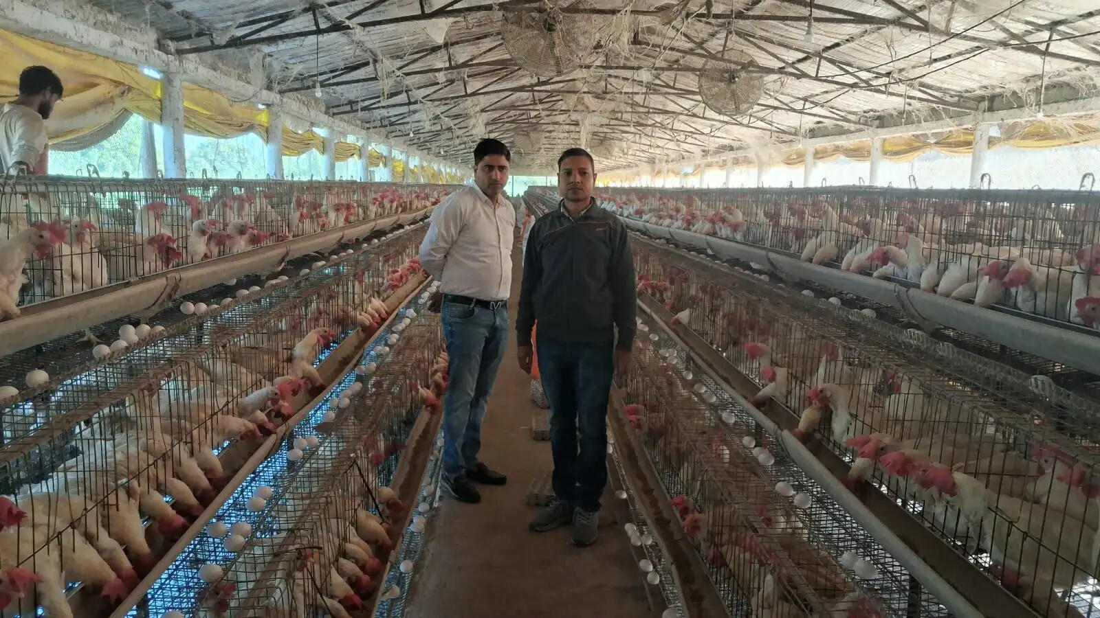 कुक्कुट पालन से आत्मनिर्भरता की ओर बढ़े मो. आरिफ, मिला 15 लाख का अनुदान