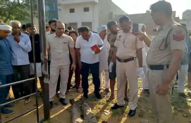 नारनौलः सतनाली के शहीद स्मृति पार्क में युवक का शव फंदे से लटका मिला