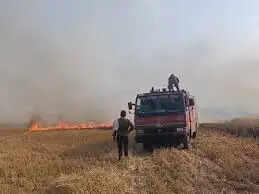 दतिया में 4 किमी तक फैली भीषण आग, गेहूं की लांक व कृषि उपकरण जलकर खाक