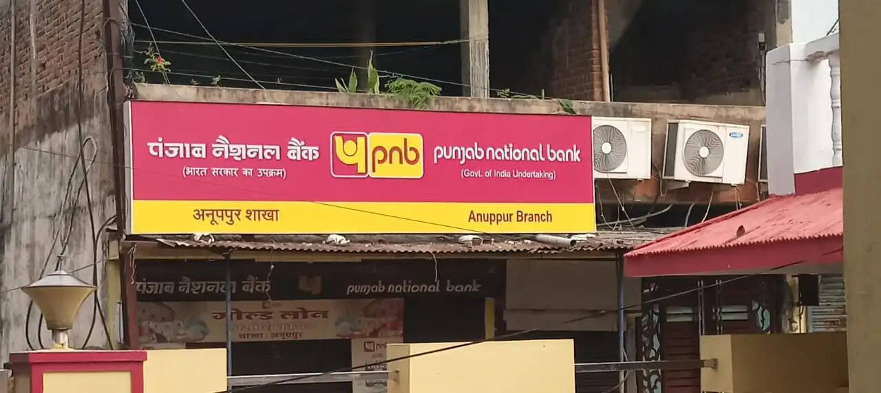 अनूपपुर: रात से सुबह तक बजता रहा पंजाब नेशनल बैंक का हूटर, जिम्मेदारों की नींद नहीं टूटी, नागरिक रातभर करते रहे चौकीदारी