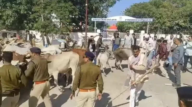 श्याेपुर: गायों को घेरकर कलेक्ट्रेट पर प्रदर्शन करने वाले विधायक सहित 17 कांग्रेसियों पर एफआईआर