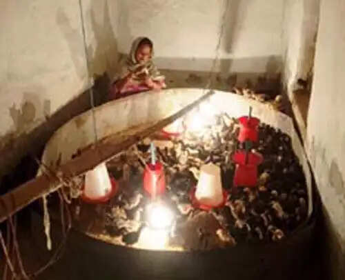 राष्ट्रीय ग्रामीण आजीविका मिशन से संवरी लच्छंतीन बाई की जिंदगी