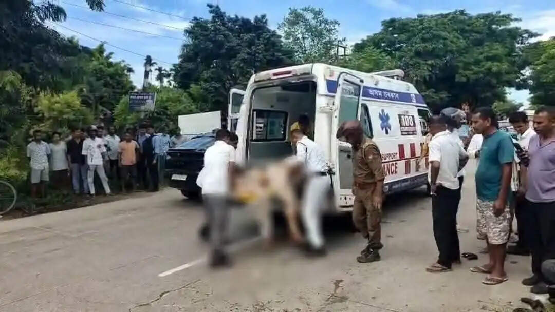 सड़क दुर्घटना में दो व्यक्तियों की मौत