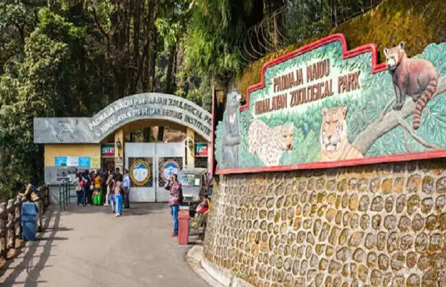 दार्जिलिंग के चिड़ियाघर में पहली बार पहाड़ी वन्यजीवों के डीएनए नमूनों के संरक्षण की पहल