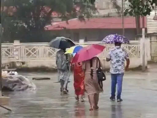 अनूपपुर: चक्रवात का असर, जिले में 24 घंटे में 1 इंच बारिश, खेतों की नमी से फसल को फायदा