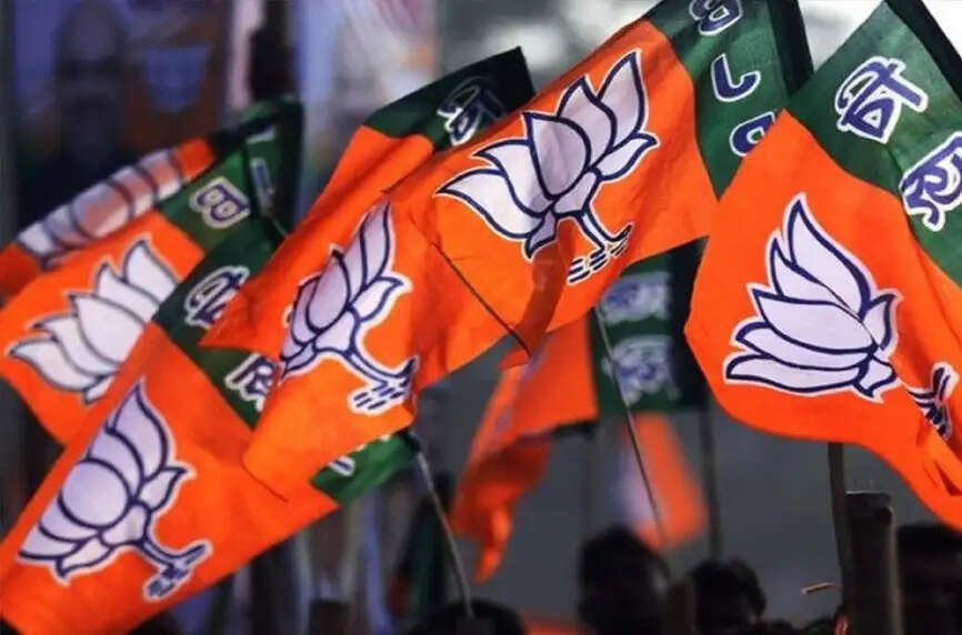 सभी बूथों पर मन की बात कार्यक्रम के साथ डिजिटल लर्निंग प्रशिक्षण भी किया जाएगा : भाजपा