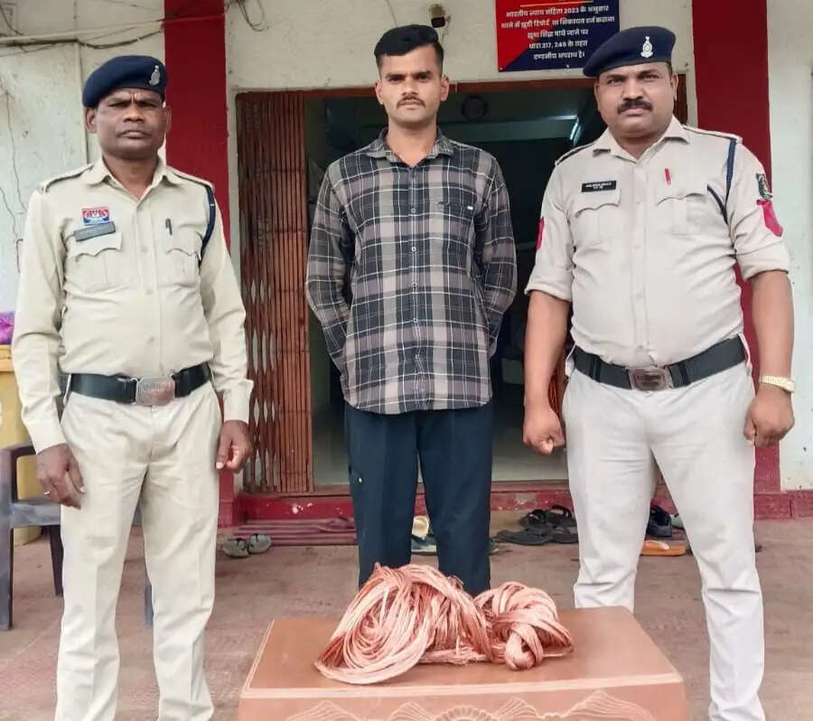 जेएसडब्ल्यू प्लांट में 7.5 किलो तांबा तार चोरी का खुलासा, सिक्योरिटी गार्ड गिरफ्तार