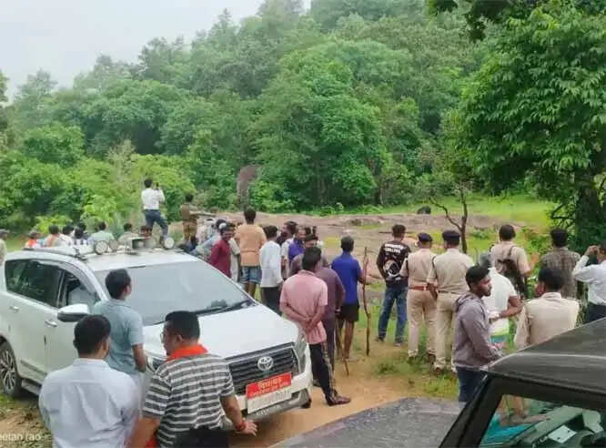 छत्तीसगढ़ के कांकेर में वन्य प्राणी भालू के हमले से तीन ग्रामीणाें की मौत