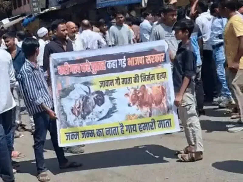 गोवंश के अवशेष मिलने पर दमोह में हिंदू संगठनों ने किया विरोध-प्रदर्शन, बाजार कराया बंद