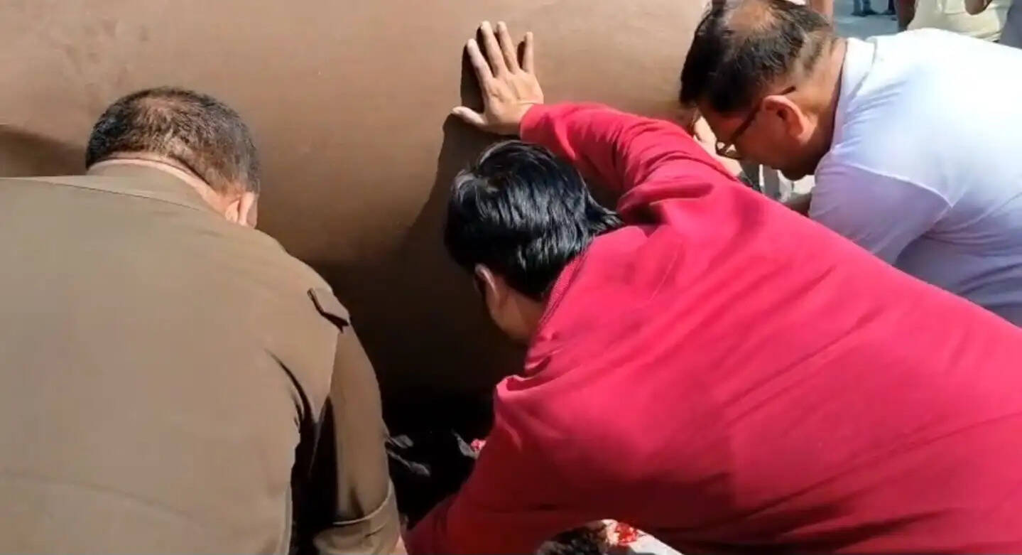 मिनी ट्रक पलटने से पत्नी की मौत, पति घायल