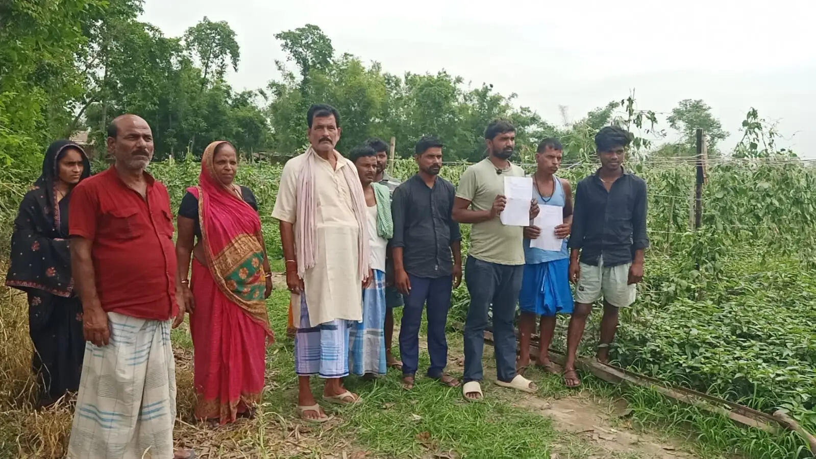 अज्ञात लोगों ने डेढ़ बीघा खेत में लगे फसल और पेड़ को किया क्षतिग्रस्त