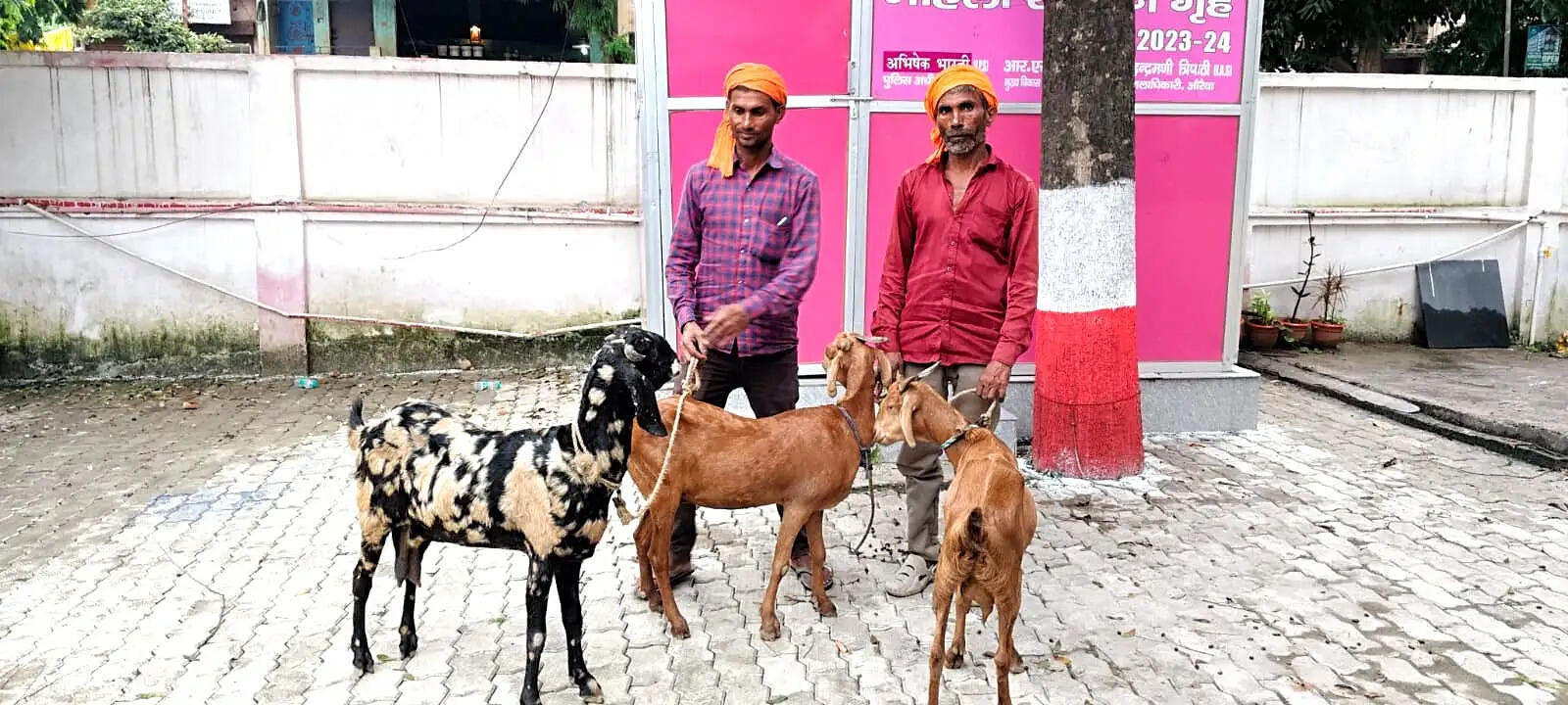 औरैया : बकरियों की लूट और चोरी का पुलिस ने किया खुलासा, दो शातिर आरोपित गिरफ्तार