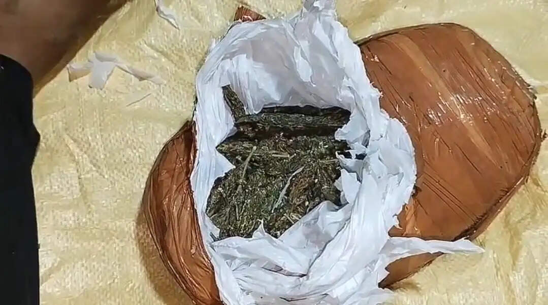 गोघाट पुलिस ने बरामद किया 33 किलो गांजा, दो गिरफ्तार