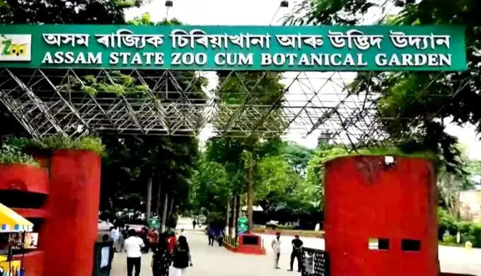 360 करोड़ की लागत से असम राज्य चिड़ियाघर का आधुनिकीकरण जारी, 27 प्रतिशत कार्य पूरा: मुख्यमंत्री
