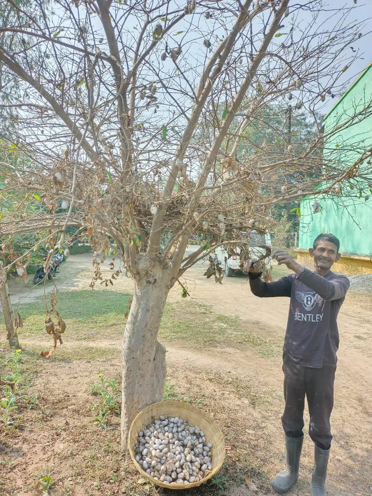 कोरबा : भूमिहीन किसान छेदूराम ने कोसा उत्पादन से अर्जित किए 6.30 लाख रुपये