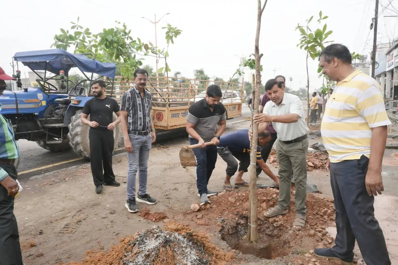 हरित कोरबा अभियान को मिली रफ्तार: शुभदा कॉम्प्लेक्स से रवि स्वीट्स तक हुआ वृक्षारोपण